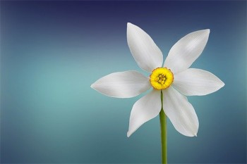為什么現(xiàn)在退保的人這么多