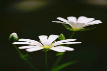 有沒有全額退保成功的