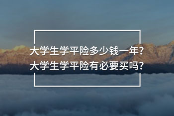 大學生學平險多少錢一年