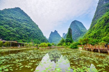 學(xué)校學(xué)平險(xiǎn)報(bào)銷需要什么材料
