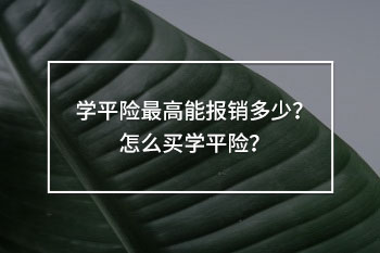 學(xué)平險(xiǎn)最高能報(bào)銷多少