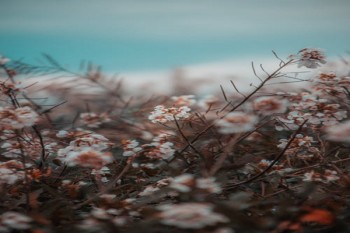 減額退保是什么意思