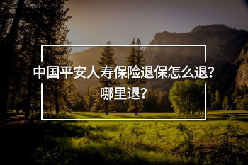 中國(guó)平安人壽保險(xiǎn)退保怎么退？哪里退？