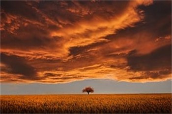 好醫(yī)保醫(yī)療險(xiǎn)怎么樣