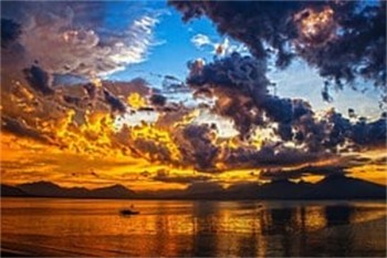 住院醫(yī)療險(xiǎn)可以單獨(dú)購(gòu)買(mǎi)嗎
