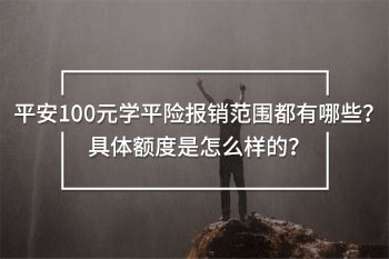 平安100元學(xué)平險(xiǎn)報(bào)銷范圍和額度