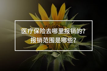 醫(yī)療保險去哪里報銷的