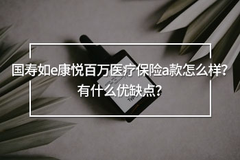 國(guó)壽如e康悅百萬(wàn)醫(yī)療保險(xiǎn)a款怎么樣？有什么優(yōu)缺點(diǎn)？