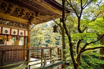 京心保防癌醫(yī)療險(xiǎn)怎么樣？值得買嗎？
