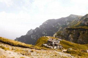 住院保險怎么報銷