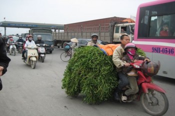 外市醫(yī)保住院怎么報(bào)銷