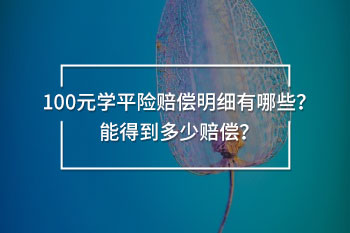 100元學(xué)平險賠償明細(xì)有哪些？能得到多少賠償？