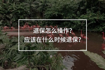 退保怎么操作？應(yīng)該在什么時(shí)候退保？