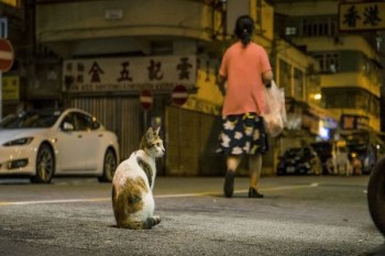 家庭醫(yī)療保險(xiǎn)