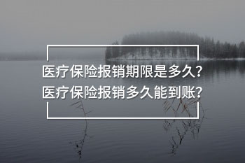 醫(yī)療保險報銷期限