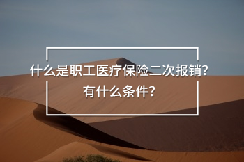 職工醫(yī)療保險(xiǎn)二次報(bào)銷