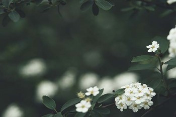 信泰人壽達(dá)爾文3號(hào)和超級(jí)瑪麗3號(hào)max哪款性價(jià)比高？分別有什么優(yōu)勢(shì)?