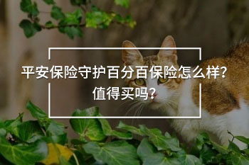 平安保險(xiǎn)守護(hù)百分百保險(xiǎn)怎么樣？值得買嗎？