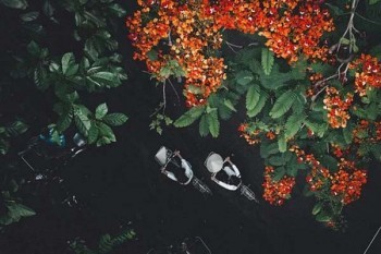 <a href=