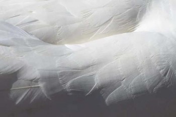 好醫(yī)保長期醫(yī)療怎么樣有報銷過的沒有？值得買嗎？