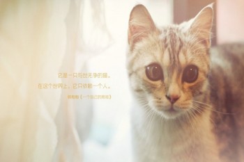 社保住院醫(yī)療保險(xiǎn)報(bào)銷比例