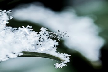 醫(yī)療保險(xiǎn)一般多少錢