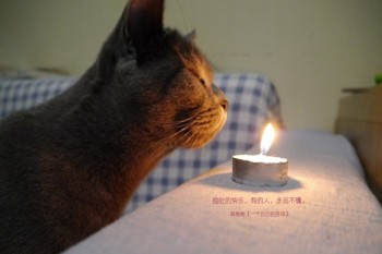 哪個保險險種好