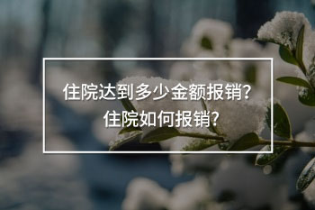 住院達(dá)到多少金額報(bào)銷