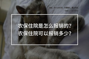 農(nóng)保住院可以報(bào)銷(xiāo)多少