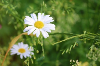 百萬醫(yī)療險重疾和重疾險的區(qū)別