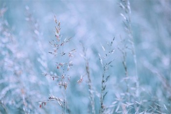 大病互助補(bǔ)充醫(yī)療保險是什么