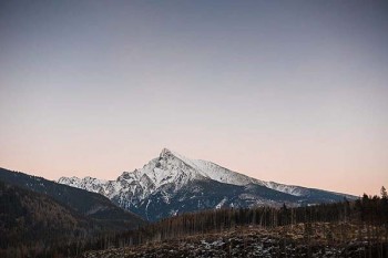 平安團(tuán)體樂途意外險靠譜嗎？買意外險需要注意什么？