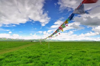 保險(xiǎn)補(bǔ)充醫(yī)療