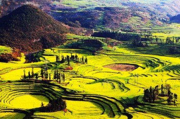 醫(yī)療保險(xiǎn)與重疾險(xiǎn)