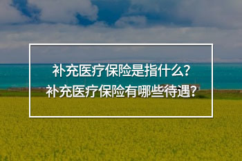補(bǔ)充醫(yī)療保險是