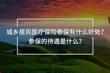 城鄉(xiāng)居民醫(yī)療保險(xiǎn)參保