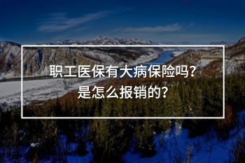 職工醫(yī)保有大病保險嗎