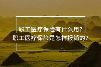 職工醫(yī)療<a href=
