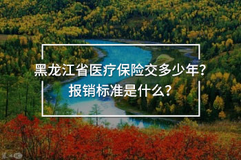 黑龍江省醫(yī)療保險(xiǎn)