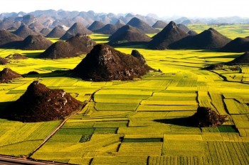 重疾險(xiǎn)與醫(yī)療險(xiǎn)哪個(gè)更好