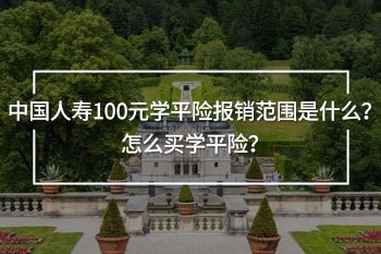 中國人壽100元學(xué)平險(xiǎn)報(bào)銷范圍是什么？怎么買學(xué)平險(xiǎn)？