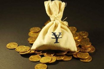 特大疾病補(bǔ)充醫(yī)療保險(xiǎn)
