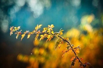 易安企業(yè)團體意外險條款介紹，怎么樣？