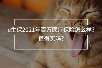 e生保2021年<a href=