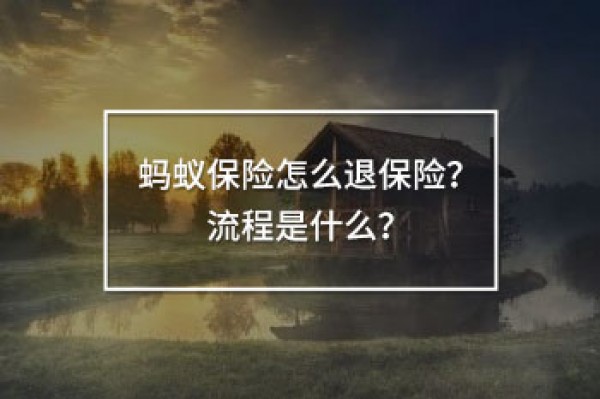 螞蟻保險怎么退保險？流程是什么？