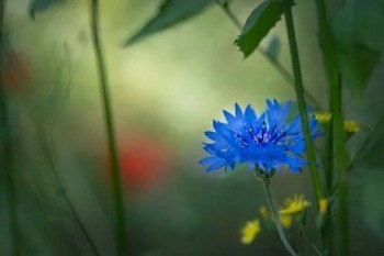 水滴百萬醫(yī)療險一年交多少錢？值得買嗎？
