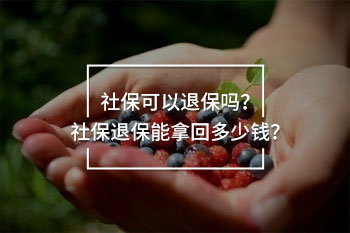 社保退保能拿回多少錢