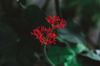 陽光保險(xiǎn)百萬醫(yī)療是真的嗎？能買嗎？