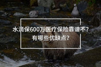 水滴保600萬(wàn)醫(yī)療保險(xiǎn)靠譜不？有哪些優(yōu)缺點(diǎn)？