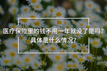 醫(yī)療保險(xiǎn)里的錢不用一年就沒(méi)了是嗎